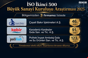 DOĞU KARADENİZ'DEN ÜÇ İKİ KURULUŞ İSO İKİNCİ 500 LİSTESİNDE YER ALDI